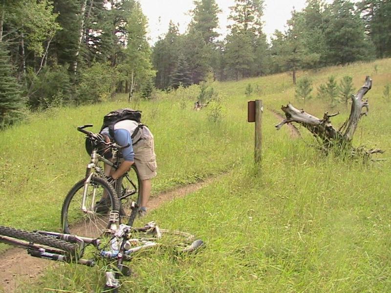 A person wearing shorts and a backpack is crouched down, inspecting a mountain bike on a grassy trail surrounded by trees. Another mountain bike lies on the ground nearby. In the background, there is a wooden signpost and a dead tree. The scene is set in a lush, natural environment. Colorado Trail: Green Mountain mountain bike trail.