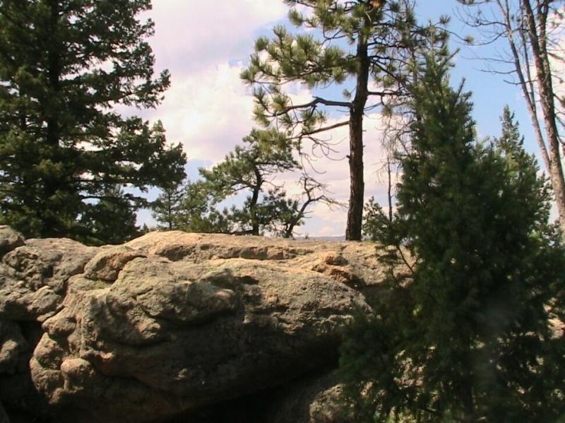 Rocky landscape framed by pine trees under a partly cloudy sky. The foreground features a large, textured rock, while various pine trees grow in the background, creating a natural, serene setting. Colorado Trail: Green Mountain mountain bike trail.