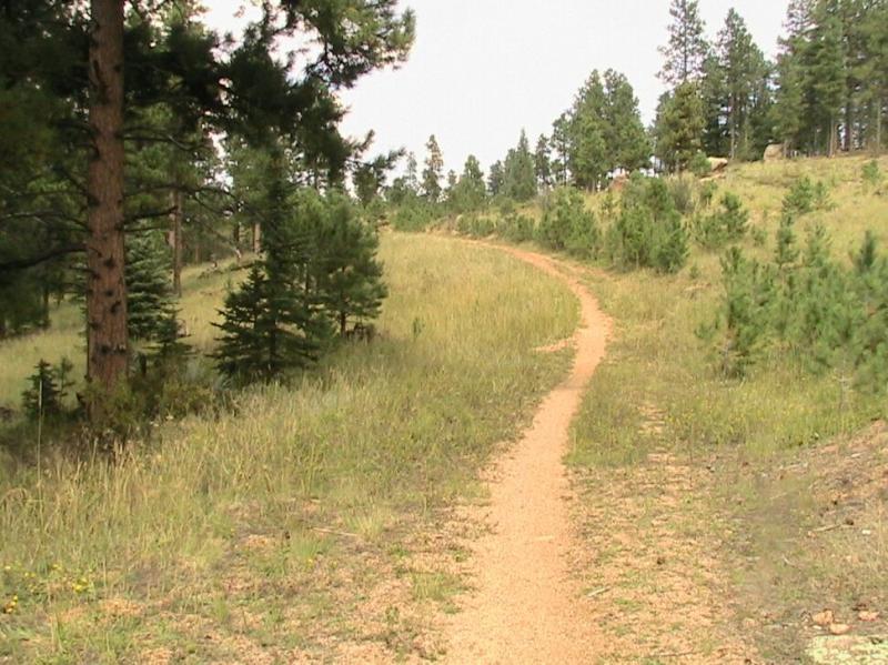 A winding dirt path through a grassy landscape, surrounded by tall green trees under a clear sky. The trail leads into a forested area in the distance. Colorado Trail: Green Mountain mountain bike trail.