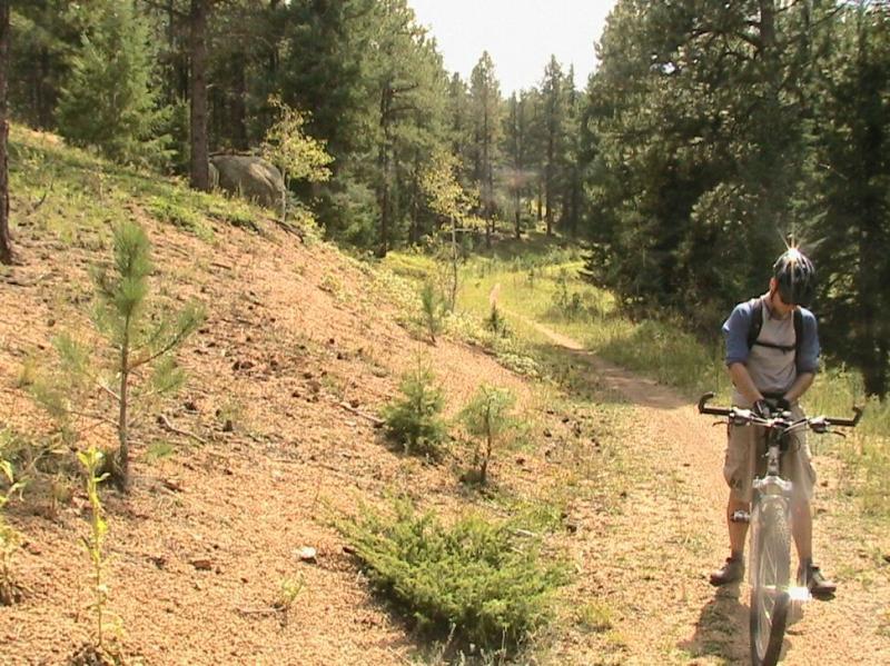 A person in a helmet stands next to a mountain bike on a dirt trail surrounded by trees. The landscape features rolling hills, small shrubs, and patches of sunlight filtering through the foliage. The cyclist appears to be adjusting equipment on the bike, with a trail winding into the distance. Colorado Trail: Green Mountain mountain bike trail.