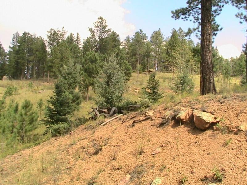 A scenic view of a hilly landscape covered with pine trees, featuring a mix of green foliage and rocky terrain under a partly cloudy sky. Colorado Trail: Green Mountain mountain bike trail.