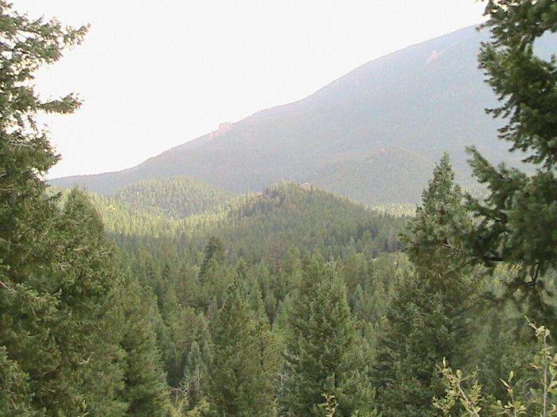 A panoramic view of a dense forest with evergreen trees, rolling hills, and distant mountains under a light sky. Colorado Trail: Green Mountain mountain bike trail.