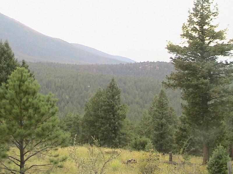 A scenic view of a mountainous landscape filled with dense evergreen trees. The foreground features various pine trees, leading to a horizon of rolling green hills and distant mountains under a slightly overcast sky. Colorado Trail: Green Mountain mountain bike trail.