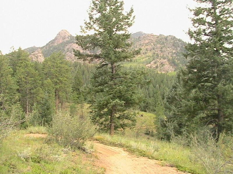 A scenic landscape featuring tall pine trees and a dirt path winding through a lush green forest, with rocky mountain peaks visible in the background under a cloudy sky. Colorado Trail: Green Mountain mountain bike trail.