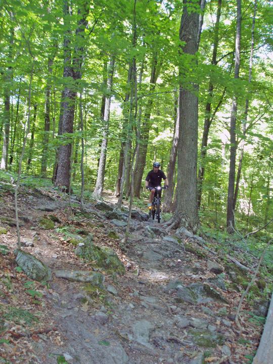 A mountain biker navigating a rocky trail through a dense, green forest on a sunny day. Mohican mountain bike trail.
