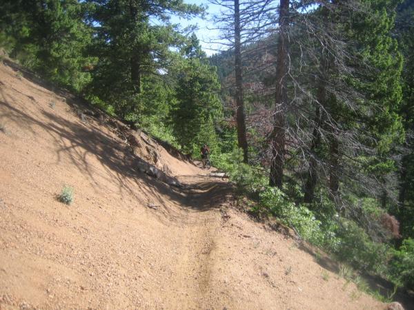 A narrow dirt trail winding through a forested area, lined with tall trees and rocky terrain. A mountain biker is seen riding along the path, which slopes gently downward on one side. The sunlight filters through the trees, creating dappled shadows on the ground. Bear Creek Canyon Loop mountain bike trail.