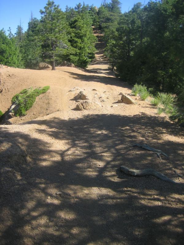 A dirt path winding through a forested area, lined with pine trees and rocky terrain. The path is surrounded by patches of green foliage and features shaded areas created by the trees above. Bear Creek Canyon Loop mountain bike trail.