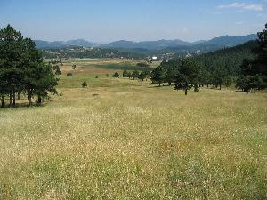 A wide view of a grassy landscape featuring rolling hills, scattered trees, and distant mountains under a clear blue sky. The scene captures the tranquility and natural beauty of a rural setting. Elk Meadow mountain bike trail.