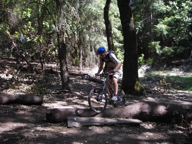 A person riding a mountain bike over a log on a trail in a forested area, surrounded by trees and lush greenery. The rider is wearing a blue helmet and a backpack, navigating a rugged path. Forest Of Nisene Marks and Soquel Demonstration Forest mountain bike trail.