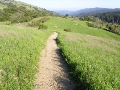A winding dirt path through lush green grass and rolling hills, leading into a distant landscape with a blue sky and mountains in the background. Monte Bello / Rancho San Antonio mountain bike trail.