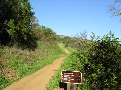 A dirt trail winding through lush greenery, with a clear blue sky overhead. A brown informational sign stands on the left side, displaying distances to nearby landmarks. Monte Bello / Rancho San Antonio mountain bike trail.