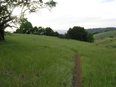 A serene landscape featuring a winding dirt path through lush green grass, bordered by trees. The scene is illuminated by soft sunlight filtering through the trees, with rolling hills visible in the background under a partly cloudy sky. Arastradero Preserve mountain bike trail.