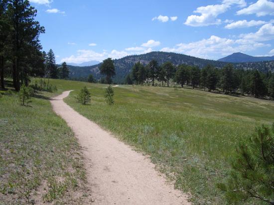 A sandy path winding through a grassy landscape, surrounded by trees and mountains in the background under a bright blue sky with fluffy white clouds. 3 Sisters / Alderfer mountain bike trail.