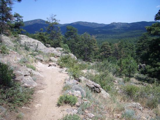 A rocky hiking trail winds through a green hillside, surrounded by trees and shrubs, with mountains visible in the background under a clear blue sky. 3 Sisters / Alderfer mountain bike trail.
