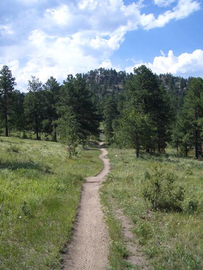 A dirt path winding through a green landscape, flanked by tall pine trees, leading towards a hilly area under a partly cloudy blue sky. 3 Sisters / Alderfer mountain bike trail.