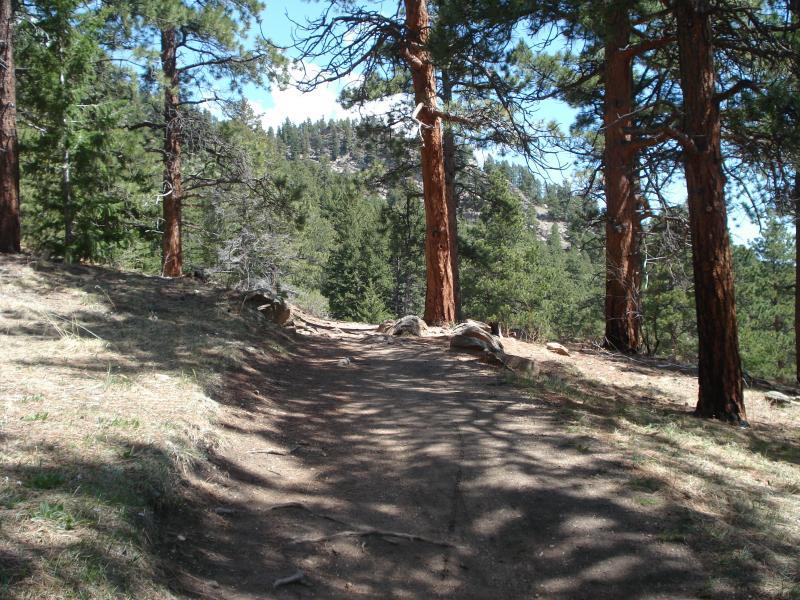 A wooded path winding through a sunlit forest, flanked by tall, reddish-brown pine trees. The ground is a mix of dirt and grass, with patches of sunlight filtering through the branches, creating a serene and peaceful atmosphere. In the background, hills covered with dense green foliage are visible under a clear blue sky. Elk Meadow mountain bike trail.