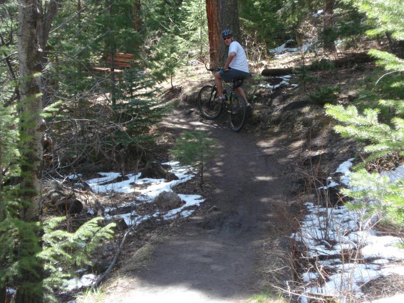 A mountain biker on a narrow trail surrounded by trees and patches of snow. The scene shows a forest setting with some greenery and a dirt path. The biker is wearing a helmet and looking back while seated on the bike. Elk Meadow mountain bike trail.