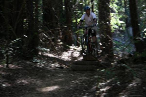 A person on a mountain bike is captured mid-jump over a small wooden ramp in a forested area. The image is slightly blurred, suggesting motion, with tall trees and dense greenery surrounding the scene. Forest Of Nisene Marks and Soquel Demonstration Forest mountain bike trail.