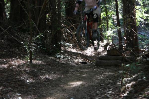 A mountain biker performing a jump on a dirt trail, surrounded by trees and foliage. The bike is mid-air above a small jump made of logs, with the trail visible in the foreground. Sunlight filters through the trees, creating a dappled light effect on the ground. Forest Of Nisene Marks and Soquel Demonstration Forest mountain bike trail.