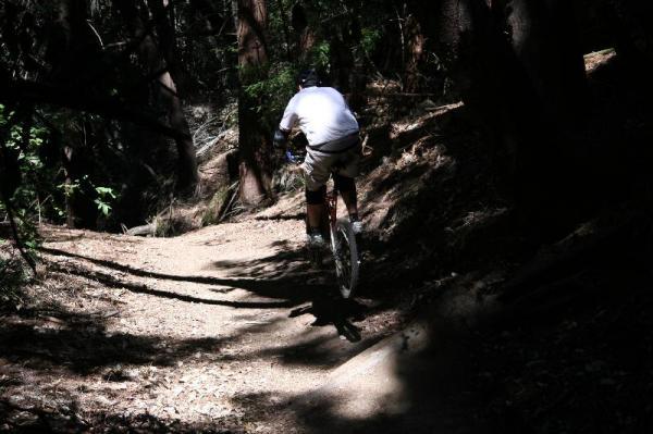 A mountain biker riding up a narrow dirt trail surrounded by trees, with sunlight filtering through the foliage. The biker is dressed in casual attire and is captured mid-ride, with dust kicked up from the trail. Forest Of Nisene Marks and Soquel Demonstration Forest mountain bike trail.