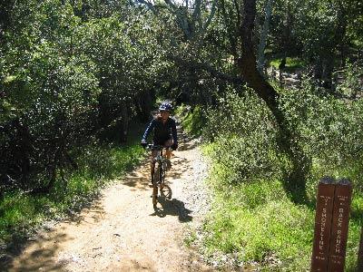 A person riding a mountain bike on a dirt trail surrounded by lush greenery and trees. A wooden trail sign is visible in the foreground, indicating the route. China Camp mountain bike trail.