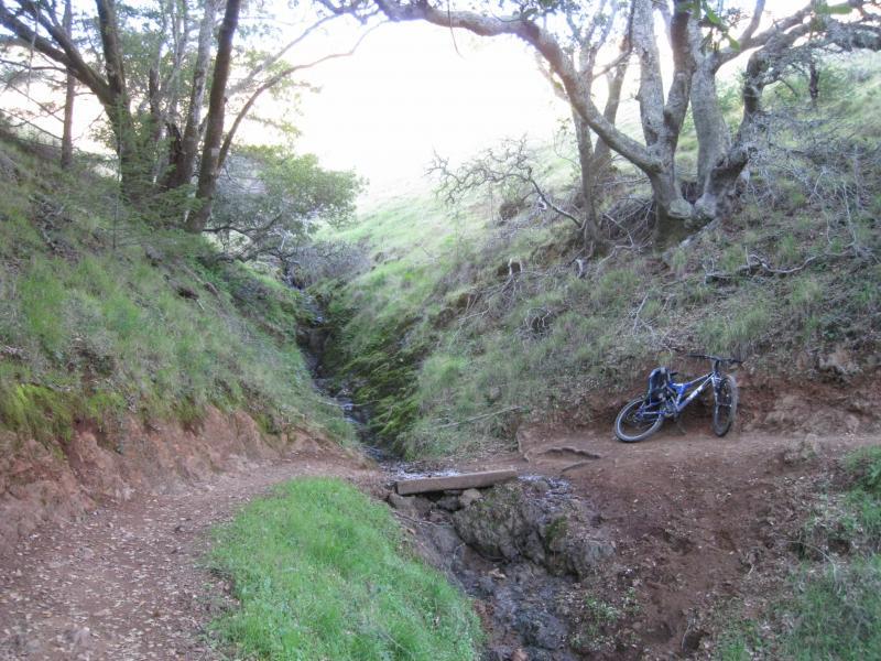 A mountain bike resting on a path next to a narrow creek, surrounded by grassy hills and trees. The trail diverges into two directions, with a wooden bridge crossing the creek. Camp Tamarancho mountain bike trail.