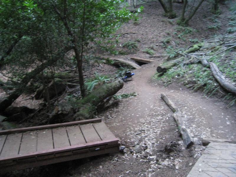 A wooded trail with a dirt path winding through the forest. The scene features fallen logs and a wooden bridge crossing a small opening in the landscape, surrounded by greenery and scattered leaves. Camp Tamarancho mountain bike trail.