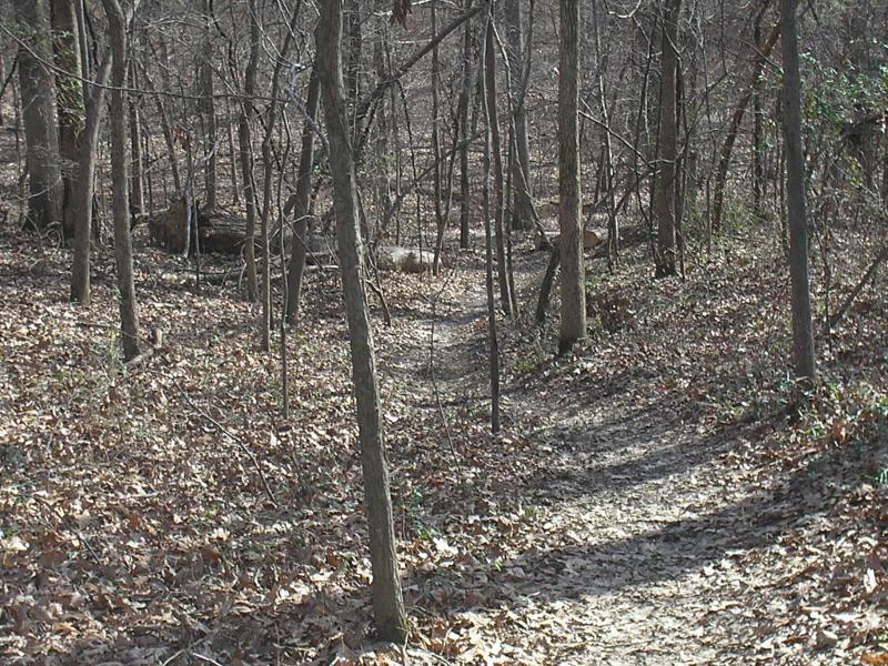 A winding dirt path through a wooded area, surrounded by bare trees and fallen leaves on the ground, leading deeper into the forest. Stanky Creek mountain bike trail.