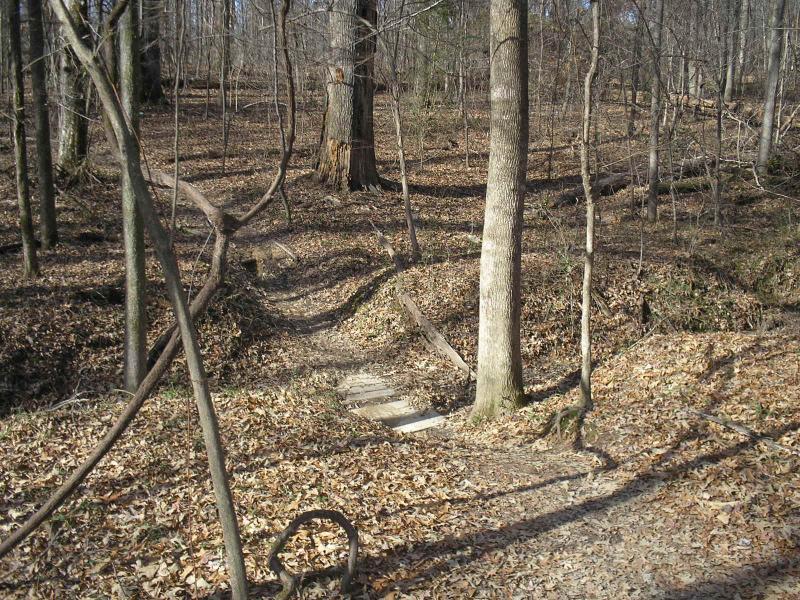 A serene forest path winding through trees with bare branches, covered in fallen leaves. A wooden bridge crosses a small gully, inviting exploration in a tranquil natural setting. Stanky Creek mountain bike trail.