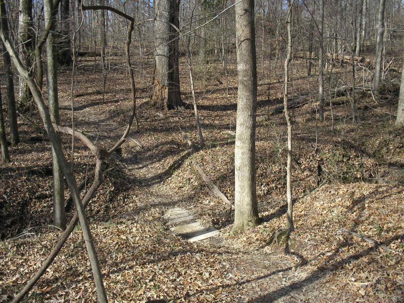A winding dirt path leads through a wooded area with bare trees and a carpet of fallen leaves. Small stones create a bridge over a shallow dip in the terrain, surrounded by natural vegetation. The scene captures a tranquil, early spring atmosphere in a forest. Stanky Creek mountain bike trail.
