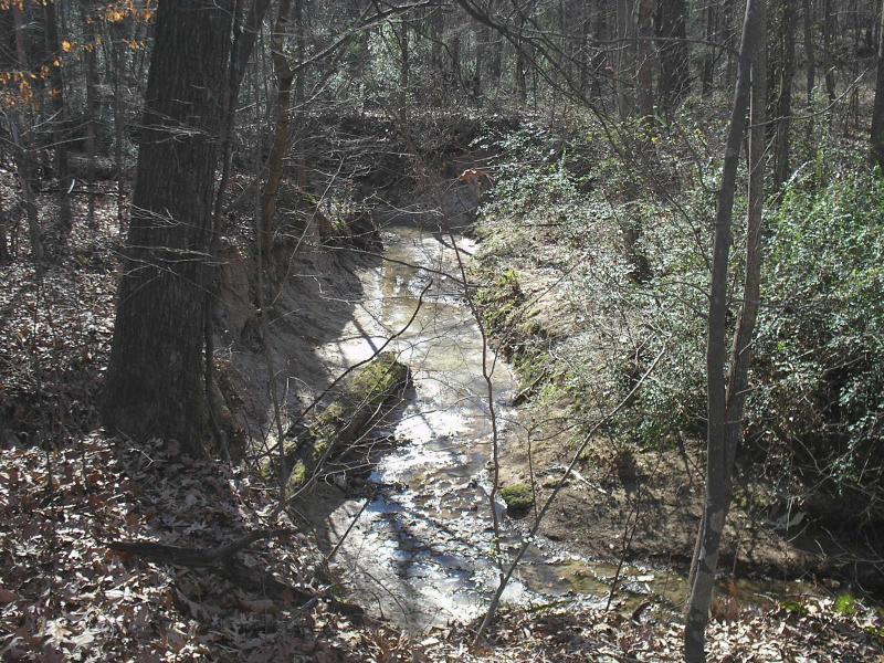 A serene view of a small stream winding through a wooded area, surrounded by trees and underbrush. Sunlight reflects off the water, creating a peaceful atmosphere. Fallen leaves cover the ground, indicating a natural environment during late autumn or winter. Stanky Creek mountain bike trail.