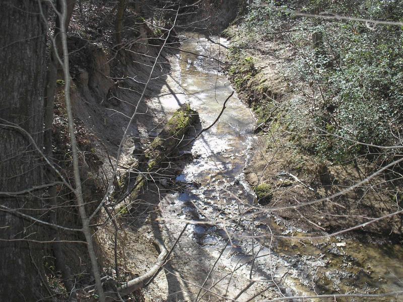 A narrow stream flows through a forested area, surrounded by rocky banks and sparse vegetation. Sunlight reflects off the water's surface, highlighting the textures of the exposed soil and stones along the streambed. Bare branches from nearby trees extend over the water, creating a serene, natural landscape. Stanky Creek mountain bike trail.