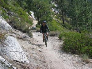 A person riding a mountain bike along a narrow dirt trail surrounded by trees and rocks. Flume Trail mountain bike trail.
