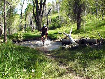 A person biking through a forested area, splashing through a shallow stream, surrounded by green grass and trees under a clear blue sky. Mormon Flats mountain bike trail.
