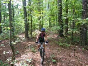 A person riding a mountain bike on a dirt trail surrounded by tall trees and lush greenery in a forest. Beaver Dam mountain bike trail.
