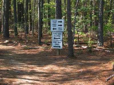 A trail sign in a wooded area displaying various directional arrows. The sign indicates "Over Look," "East Loop," and "West Loop" to the left and right, with additional notices stating "Two-Way Traffic" and "One Way Only." The ground is covered with pine needles, and tall trees are visible in the background. Beaver Dam mountain bike trail.