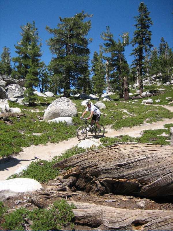 A mountain biker riding on a dirt trail surrounded by green vegetation, large boulders, and tall evergreen trees under a clear blue sky. Flume Trail mountain bike trail.