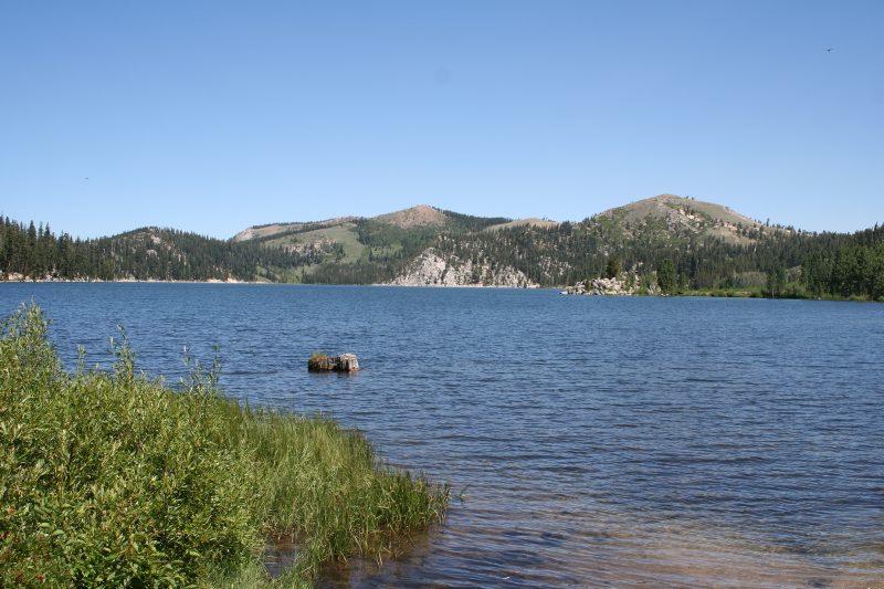 A serene view of a lake surrounded by rolling hills and dense forests under a clear blue sky. The foreground features tall green grass and a small rock in the water, creating a peaceful natural landscape. Flume Trail mountain bike trail.