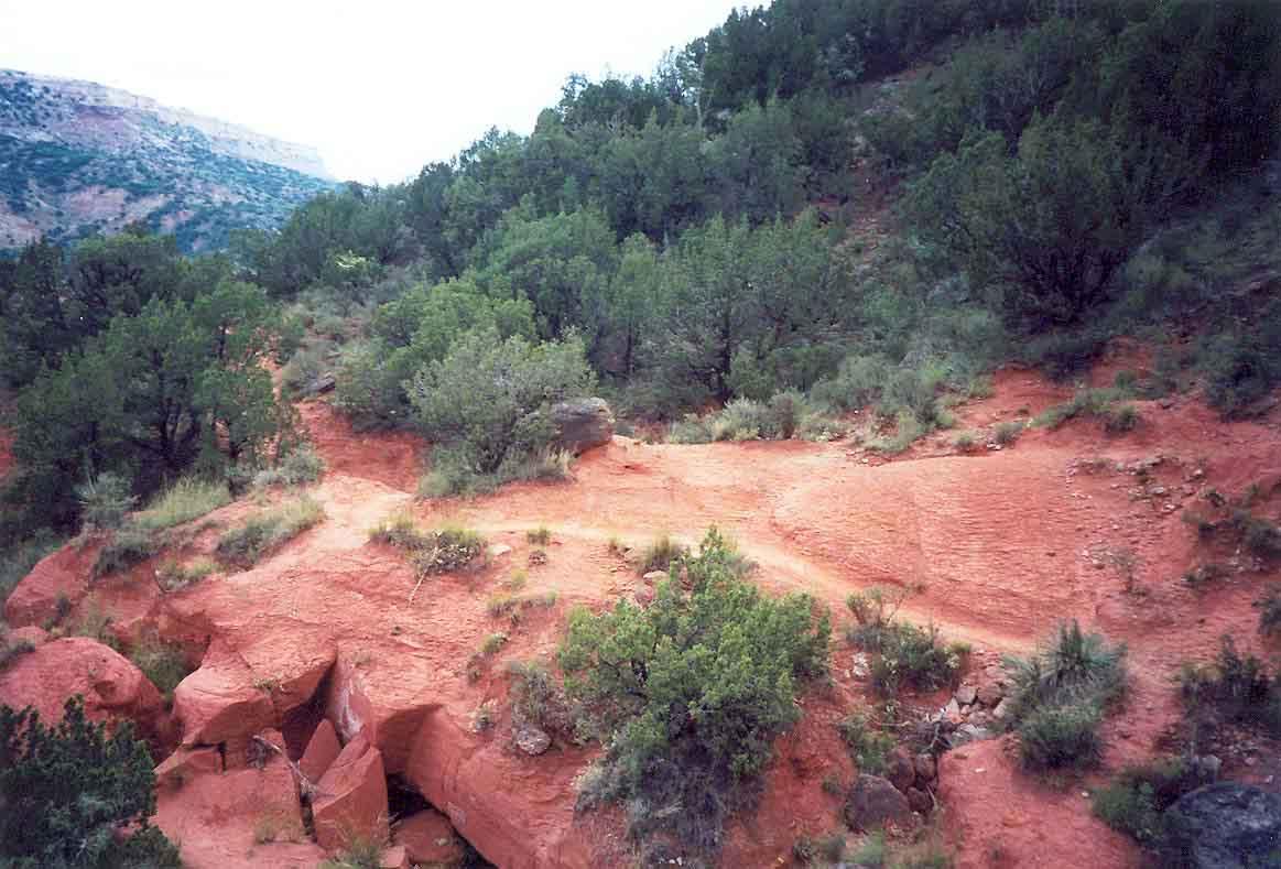 A winding dirt path surrounded by lush green shrubs and trees on reddish rocky terrain, with rugged hills in the background under a cloudy sky. Palo Duro Canyon mountain bike trail.