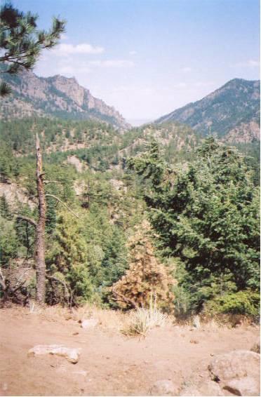 A scenic view of a mountainous landscape featuring lush green trees and rugged rock formations under a clear blue sky. The foreground includes a mix of pine trees and rocky ground, while the background showcases majestic mountains and hills. Walker Ranch mountain bike trail.