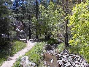 A scenic nature trail winding through a forested area, alongside a small stream. The pathway is bordered by lush green grass and trees, with sunlight filtering through the leaves. Rocky terrain is visible along the sides of the trail. Walker Ranch mountain bike trail.