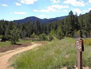 A scenic view of a dirt path winding through a grassy area, leading toward a backdrop of mountains and a blue sky with scattered clouds. A wooden sign is visible in the foreground, partially obscured by vegetation. Lush trees surround the path, suggesting a natural, outdoor setting. Walker Ranch mountain bike trail.