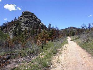 A winding dirt trail leads through a grassy landscape with scattered trees, set against a backdrop of a large rocky formation and a clear blue sky with a few clouds. Walker Ranch mountain bike trail.