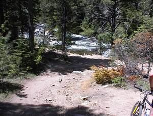 A dirt path leading towards a river, surrounded by dense trees and greenery. The scene features a bicycle on the right side, with sunlight filtering through the leaves, creating a natural outdoor setting. Walker Ranch mountain bike trail.