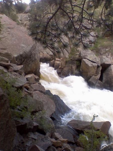Rushing river flowing between rocky cliffs, surrounded by greenery and pine trees. The water is white and frothy as it navigates through the boulders. Walker Ranch mountain bike trail.