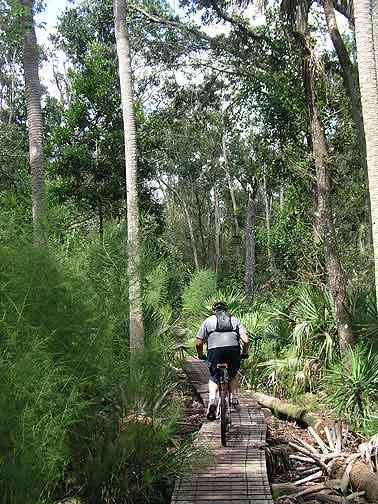 A person riding a mountain bike along a wooden path through a dense green forest, surrounded by tall trees and lush vegetation. Little Big Econ State Forest mountain bike trail.