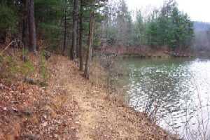 A dirt path surrounded by trees, leading to a calm water body, with fallen leaves scattered along the edge. The scene depicts a peaceful natural setting in a forest area. Dark Mountain Trail mountain bike trail.