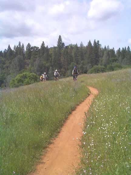 A dirt path winding through a green field with blooming wildflowers, leading towards a group of cyclists riding in the distance. Lush trees are visible in the background under a partly cloudy sky. Foresthill Divide mountain bike trail.