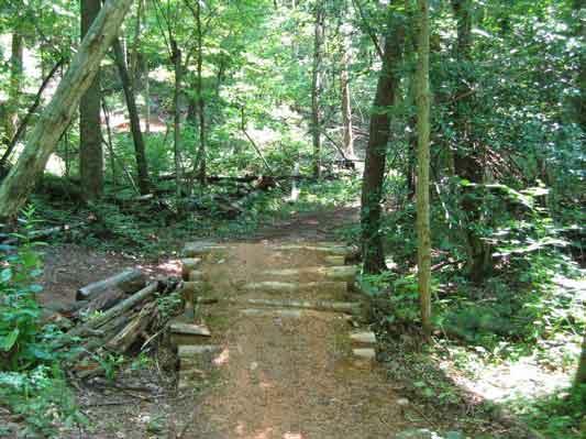 A small, rustic wooden bridge crosses a dirt path through a dense forest filled with lush green foliage and sunlight filtering through the trees. The path leads deeper into the woods, surrounded by logs and underbrush. Dark Mountain Trail mountain bike trail.