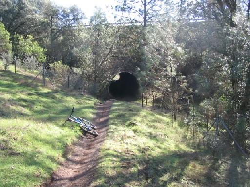 A mountain bike is laid on its side next to a dirt path leading into a dark tunnel, surrounded by lush greenery and trees. The sunlight filters through the foliage, illuminating the area. Clementine Loop mountain bike trail.